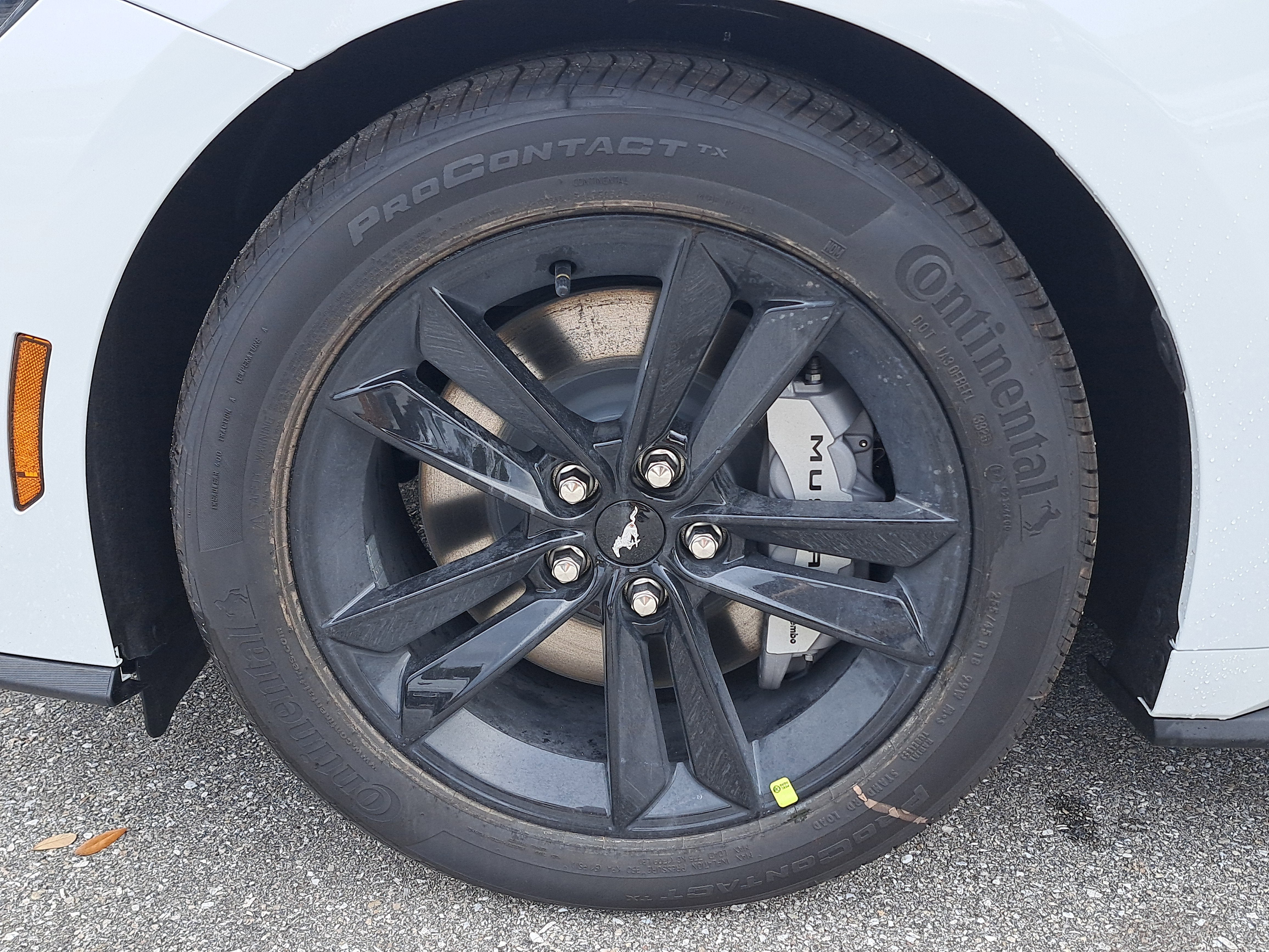 2026 Ford Mustang GT