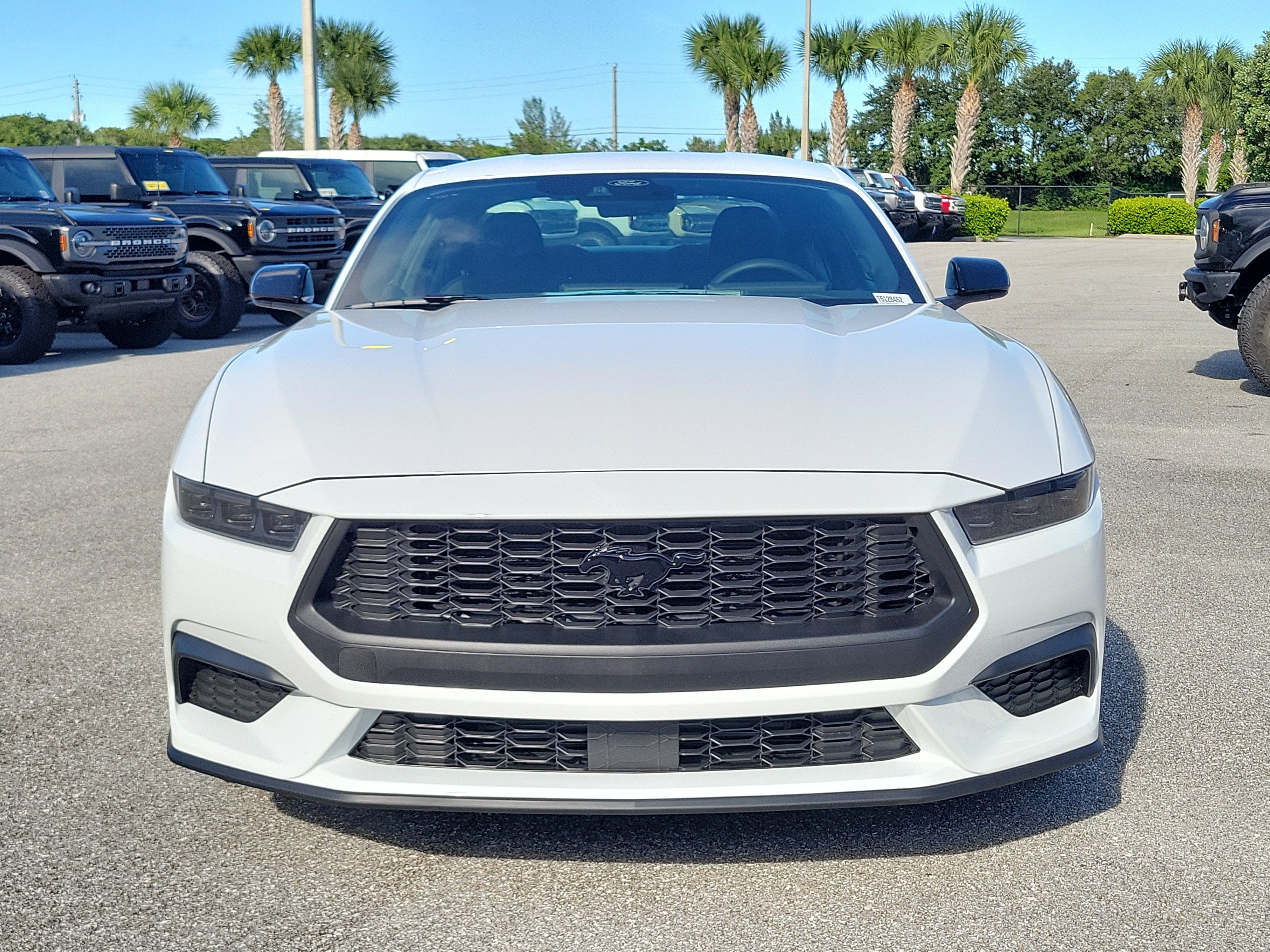 2026 Ford Mustang EcoBoost