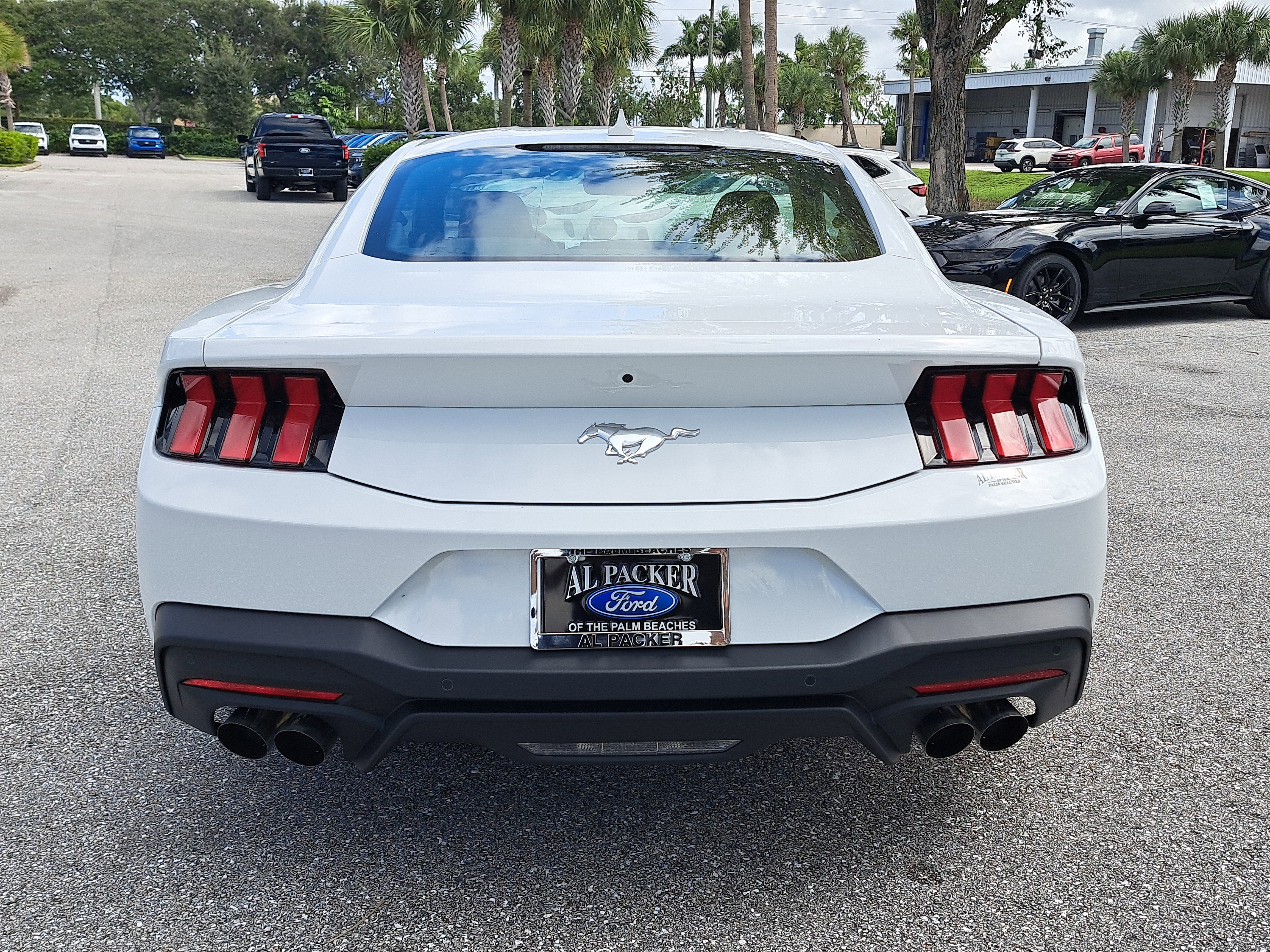 2025 Ford Mustang EcoBoost