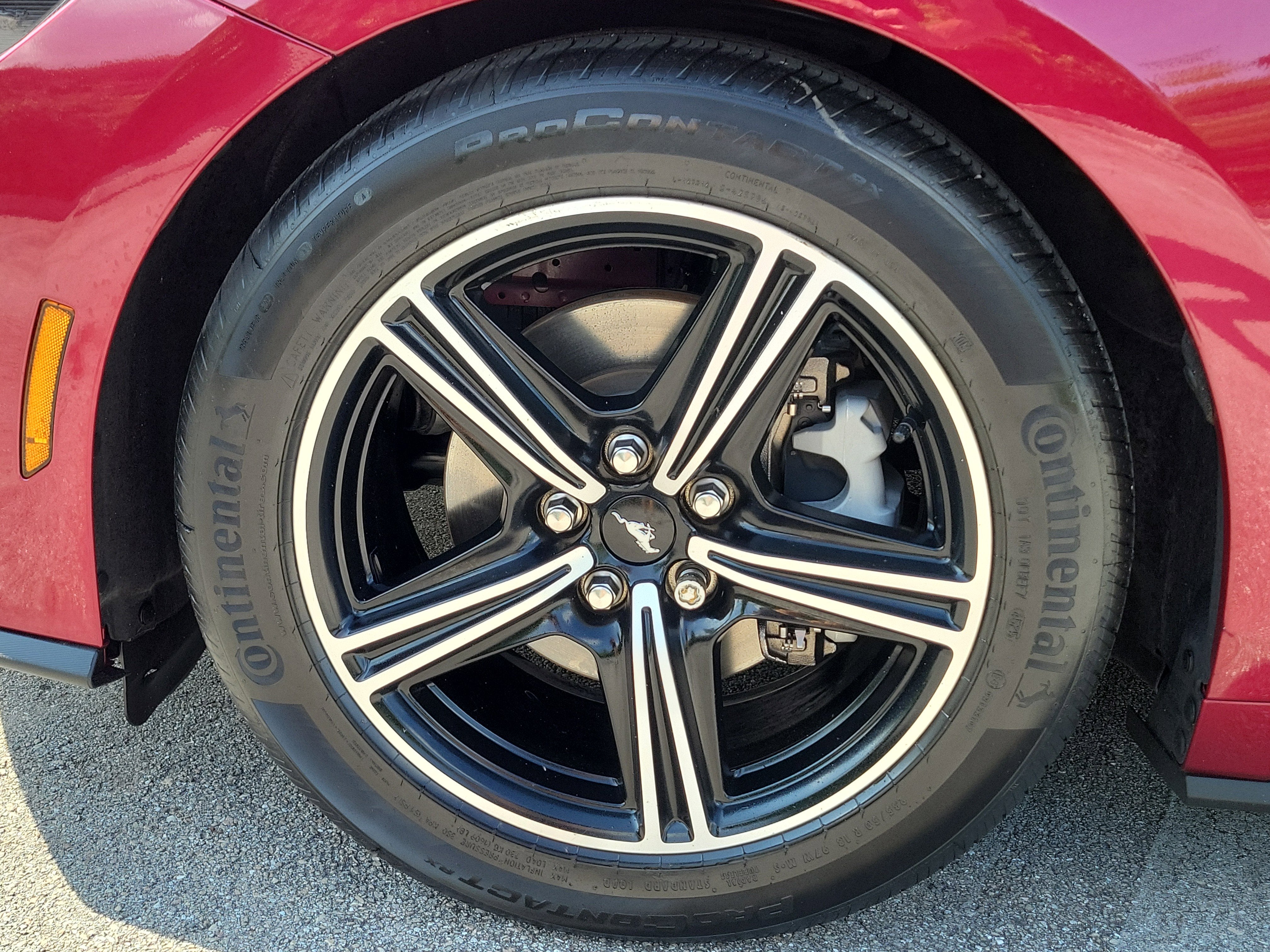 2025 Ford Mustang EcoBoost