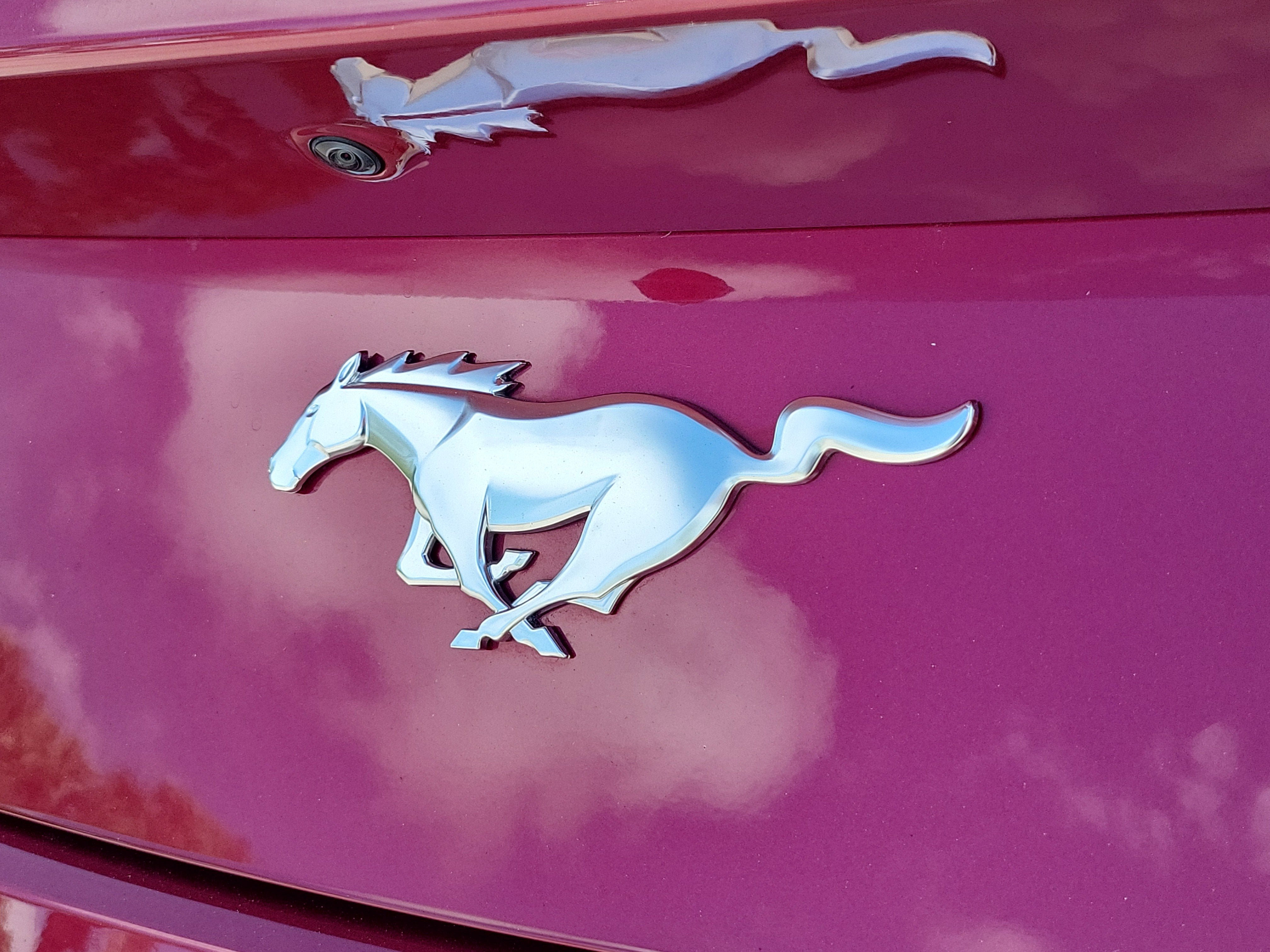 2025 Ford Mustang EcoBoost