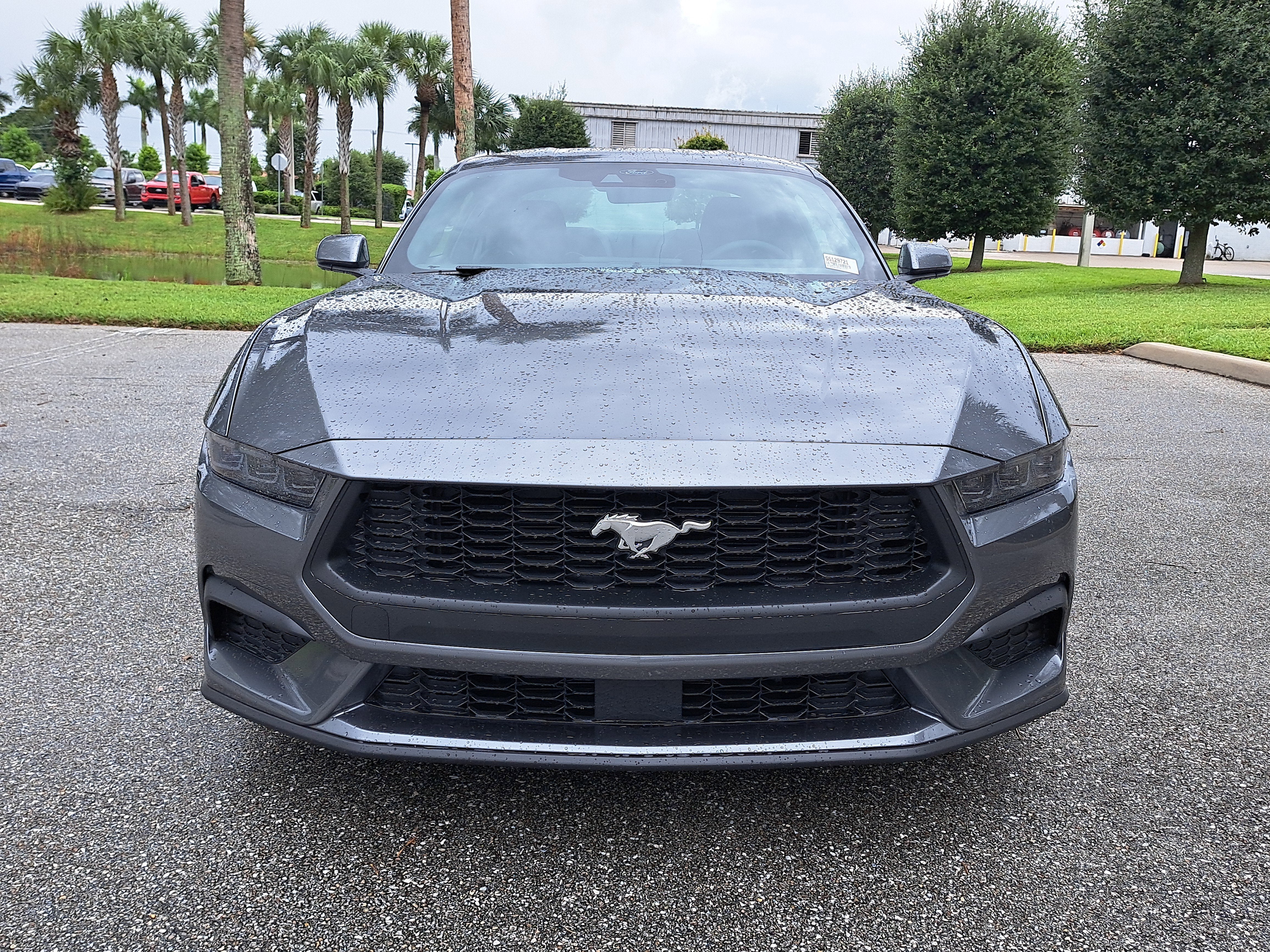 2025 Ford Mustang EcoBoost
