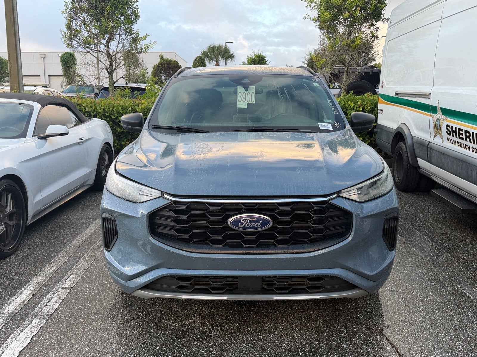 2024 Ford Escape ST-Line