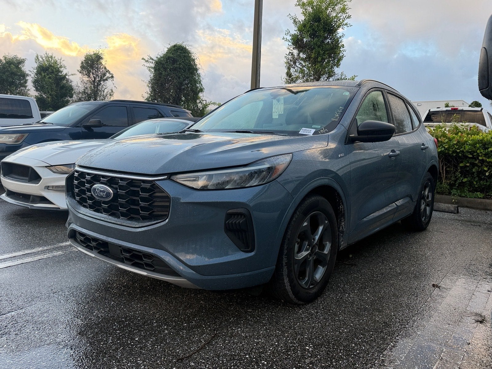 2024 Ford Escape ST-Line