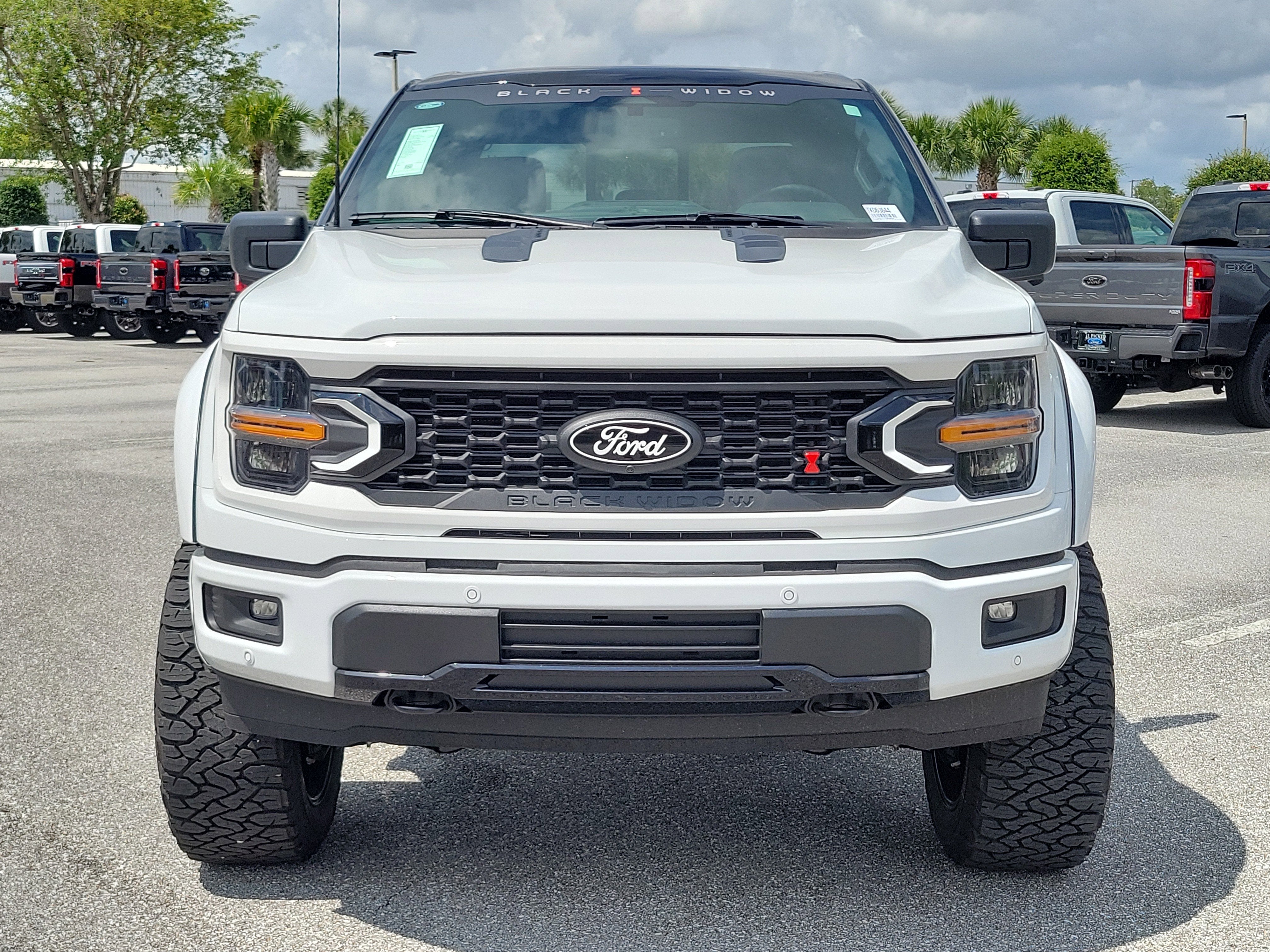 2026 Ford F-150 Black Widow