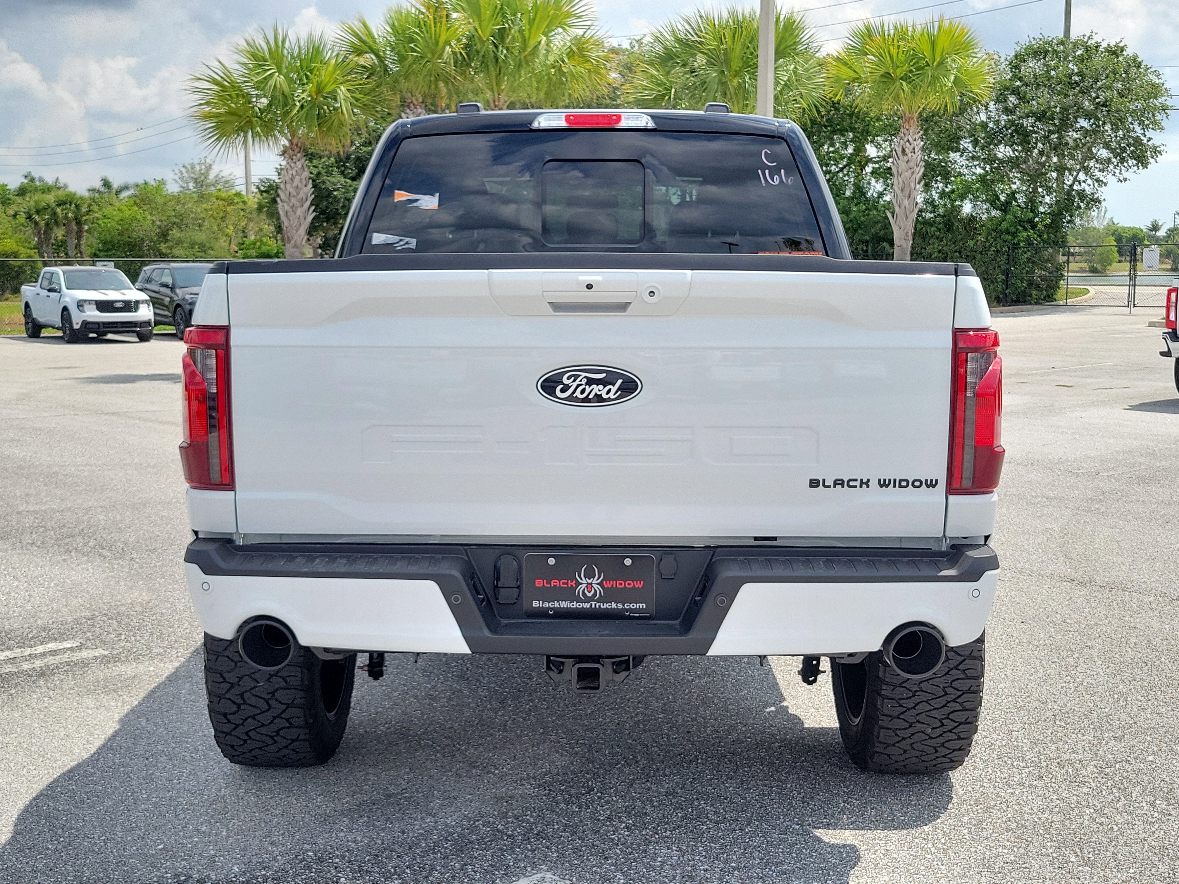 2026 Ford F-150 Black Widow
