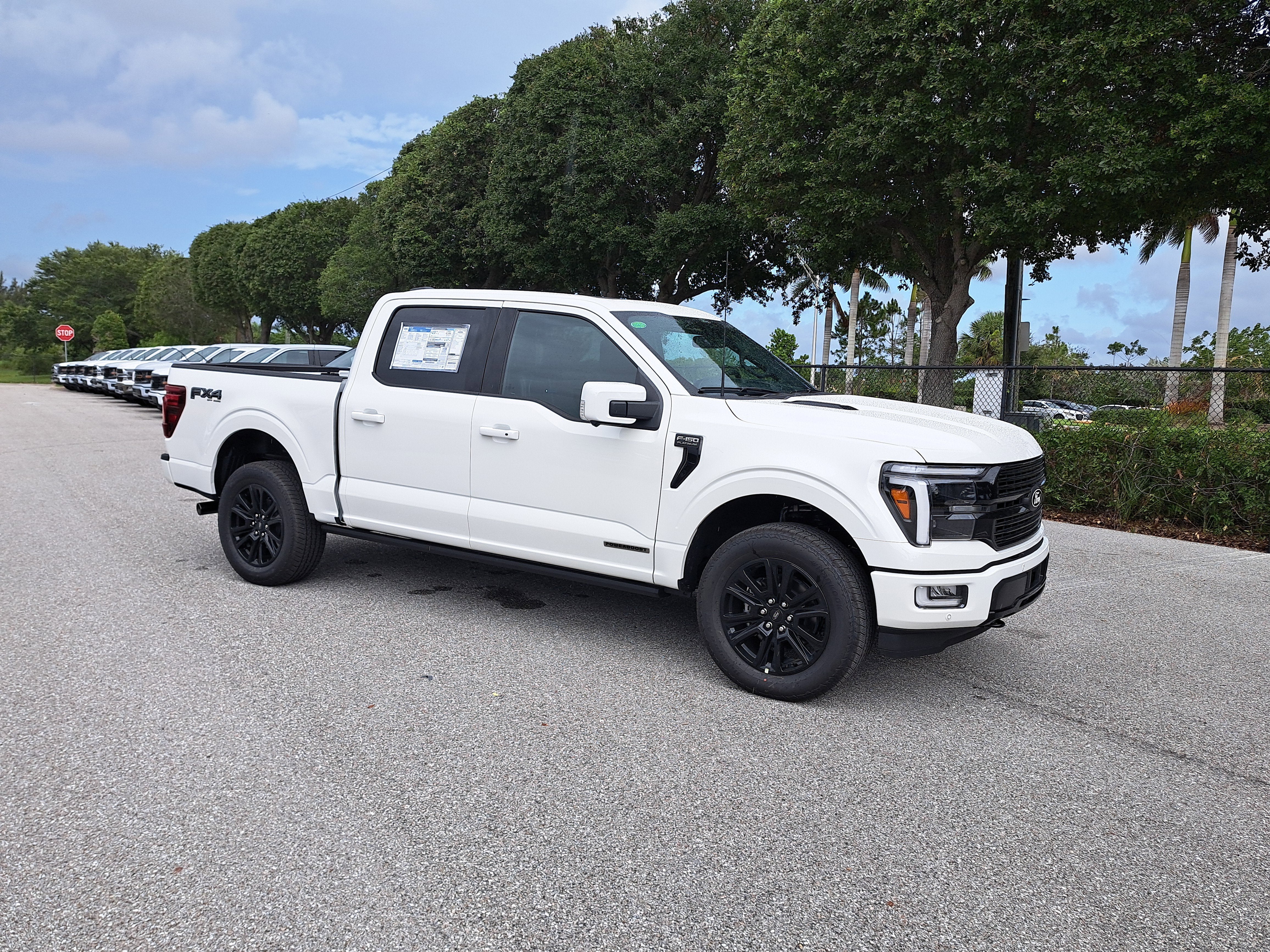 2025 Ford F-150 Platinum