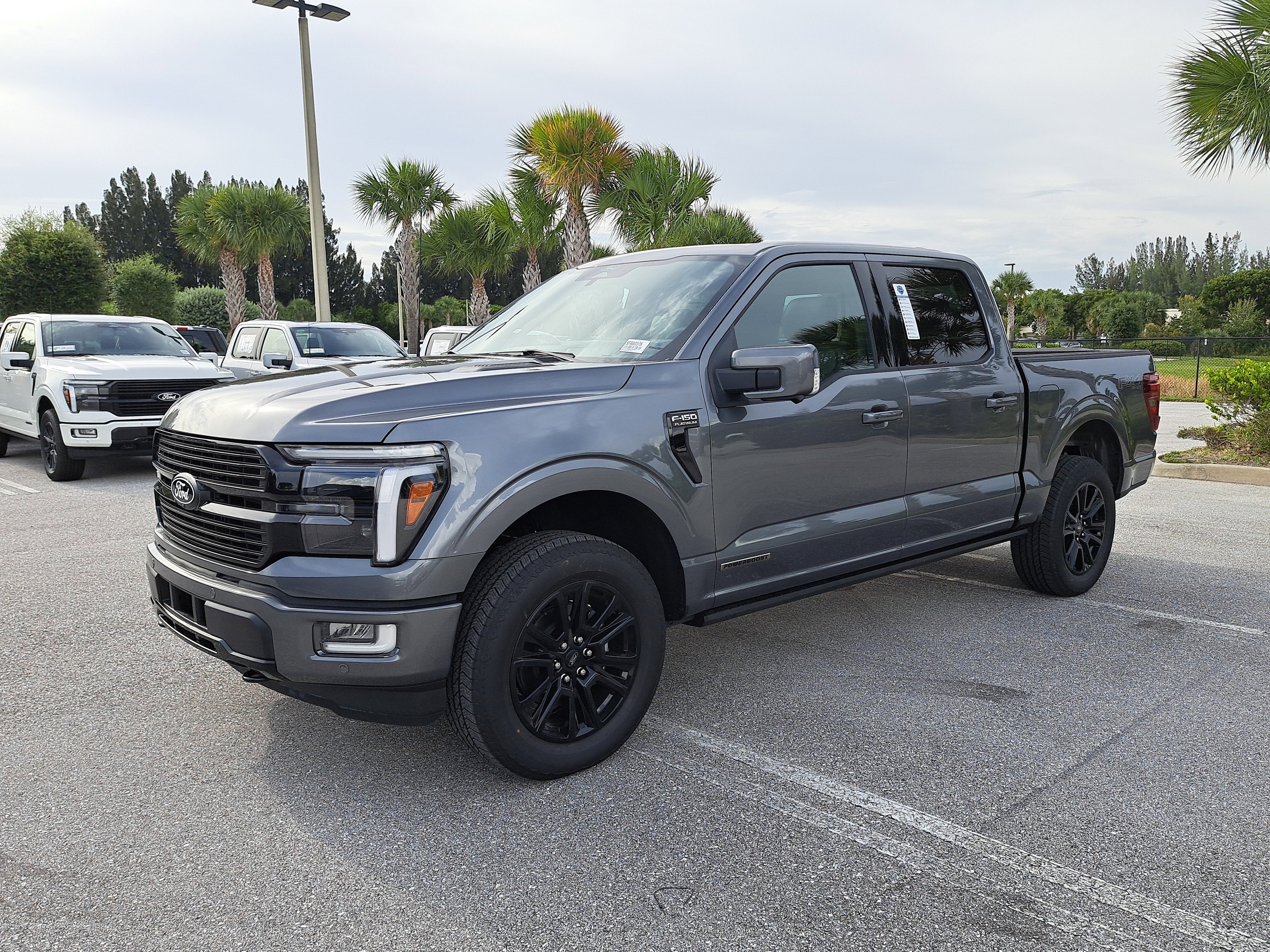 2025 Ford F-150 Platinum