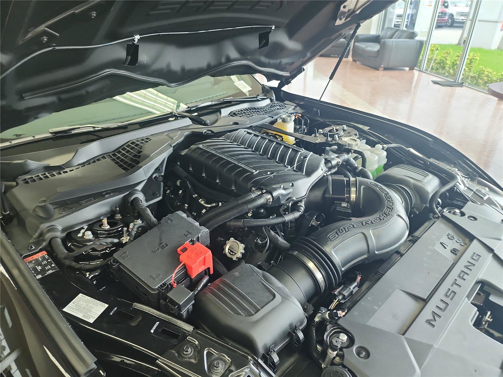 2026 Ford Mustang Premium