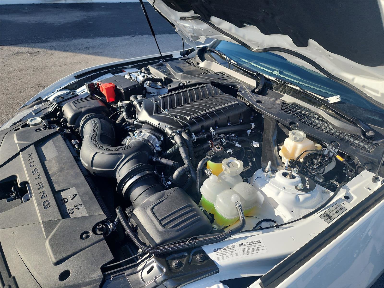 2025 Ford Mustang Premium