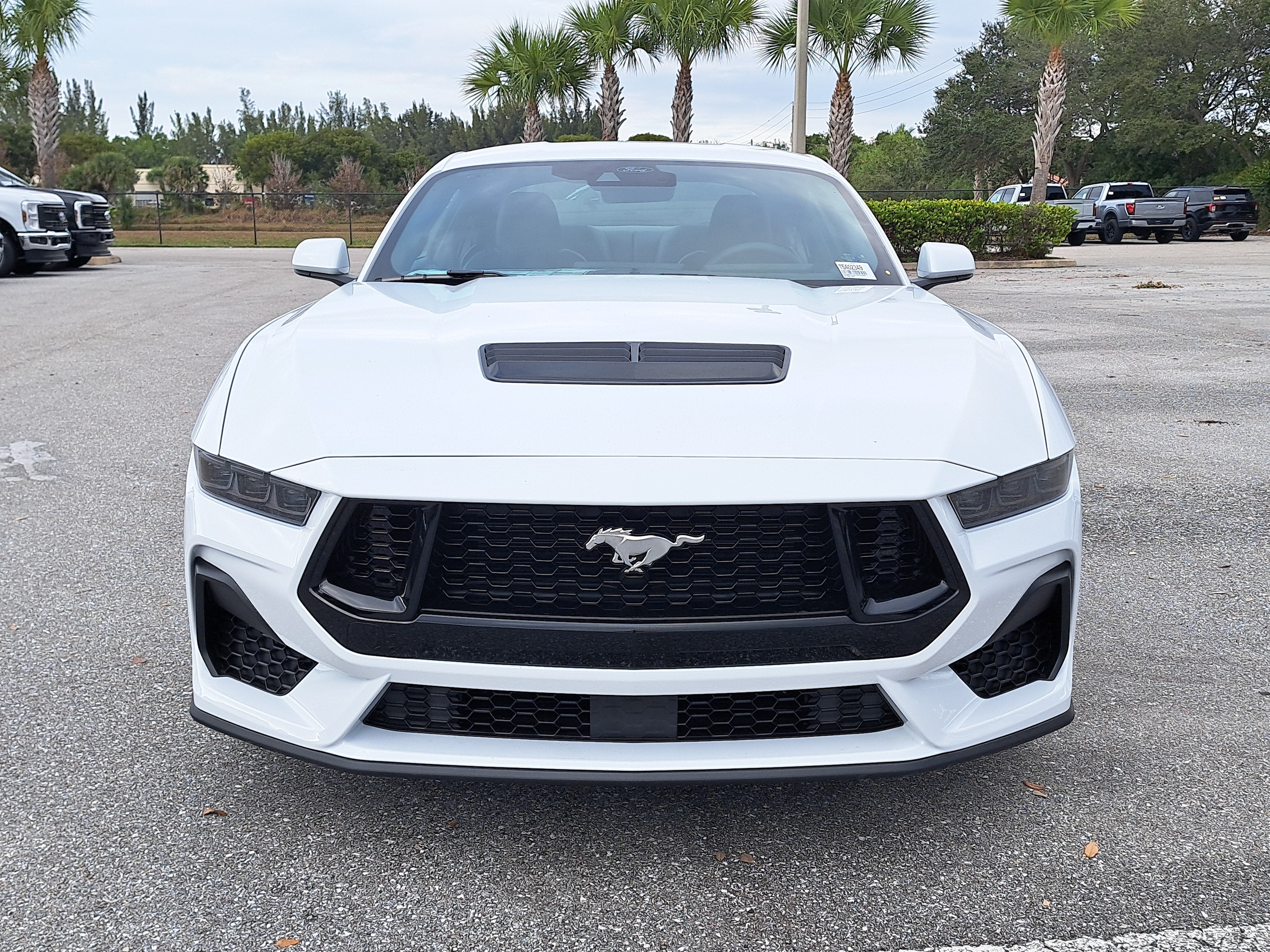 2026 Ford Mustang GT