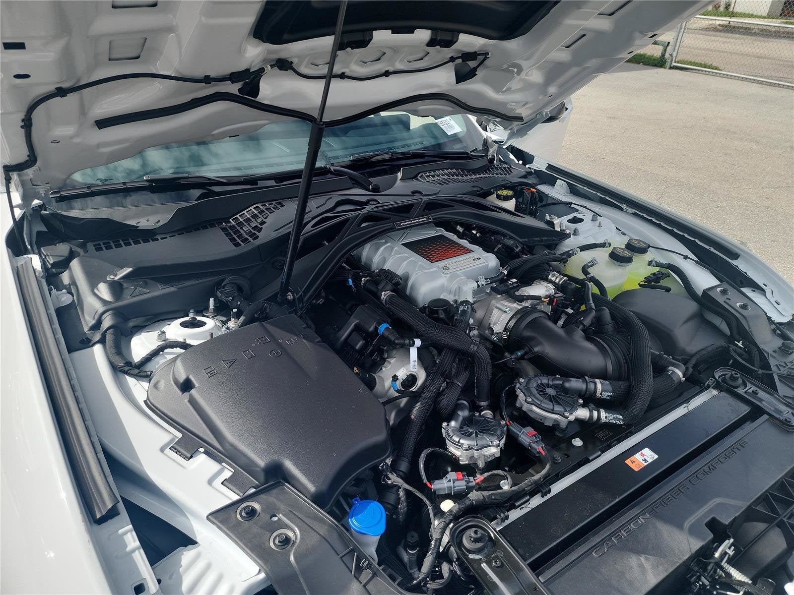 2026 Ford Mustang Dark Horse
