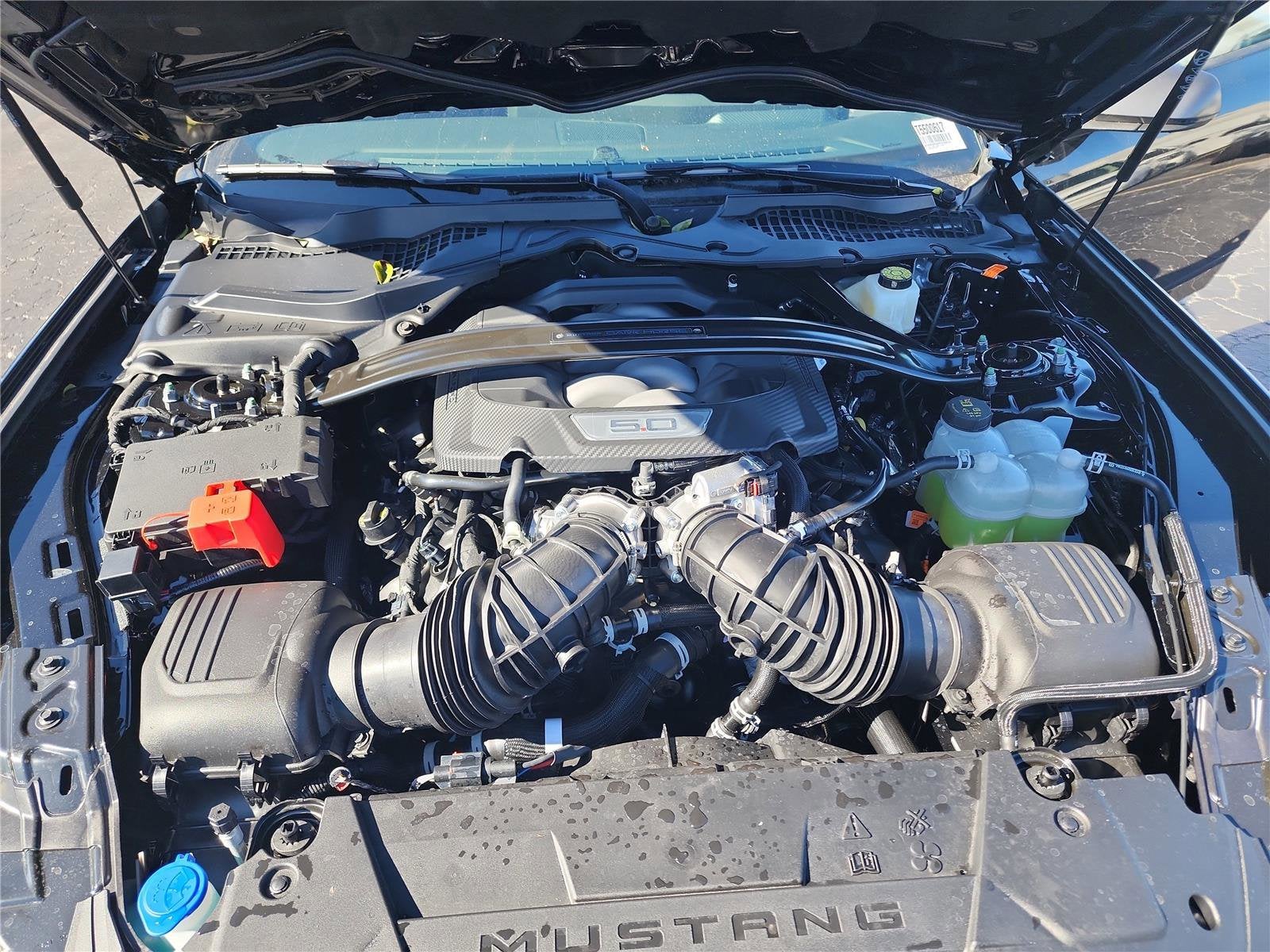 2026 Ford Mustang Dark Horse