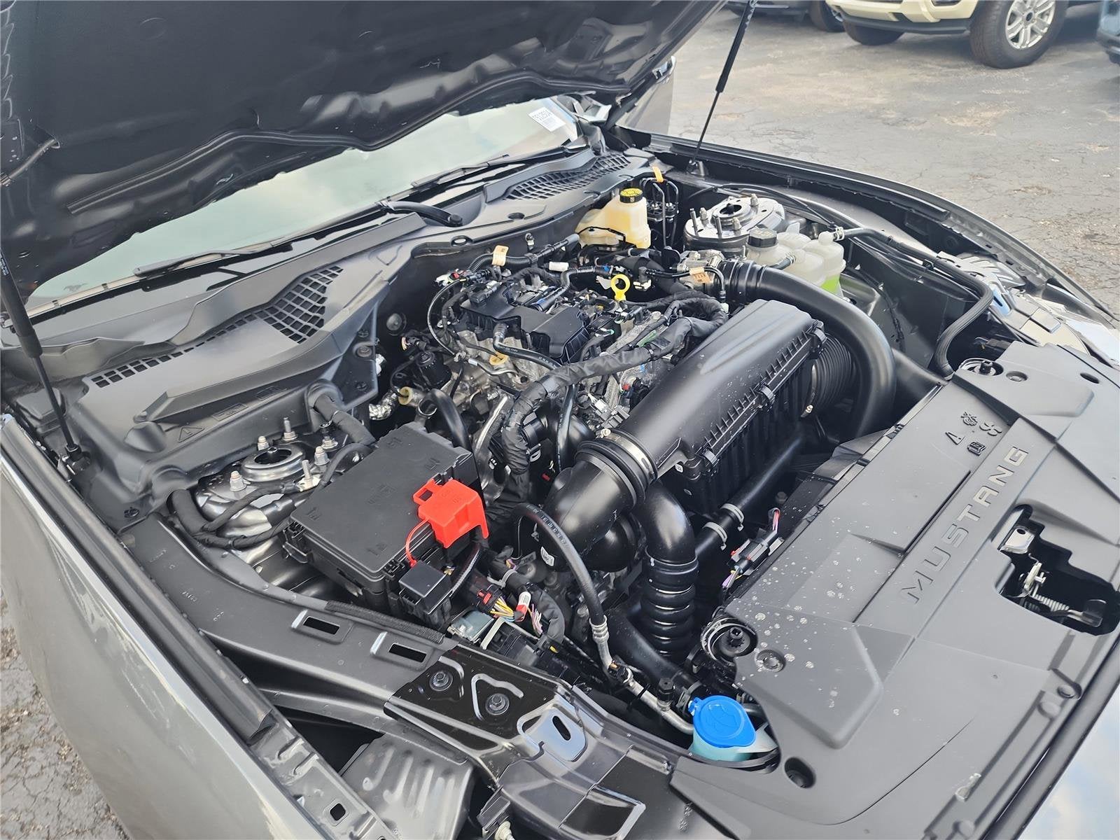 2026 Ford Mustang EcoBoost