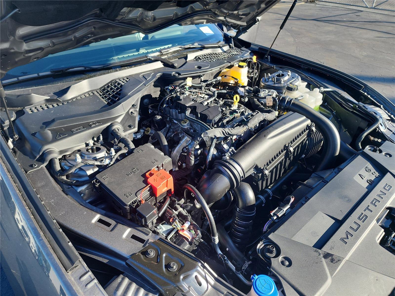 2026 Ford Mustang EcoBoost