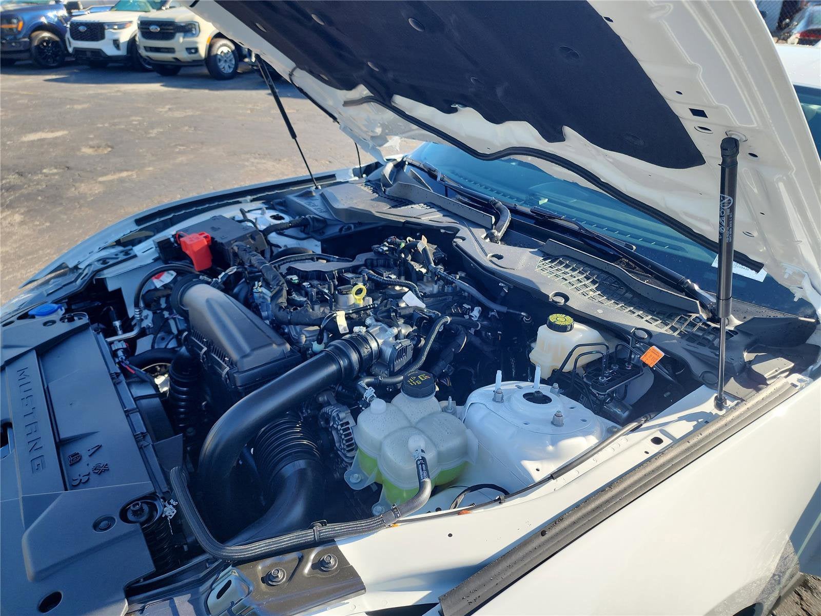 2026 Ford Mustang EcoBoost