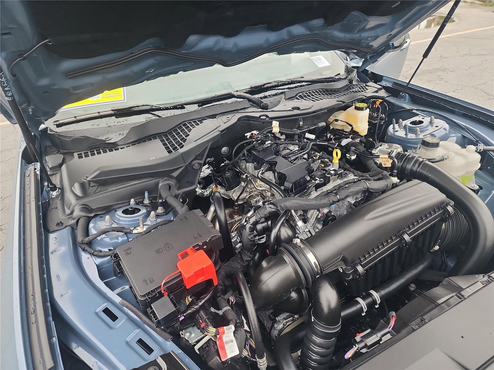 2026 Ford Mustang EcoBoost