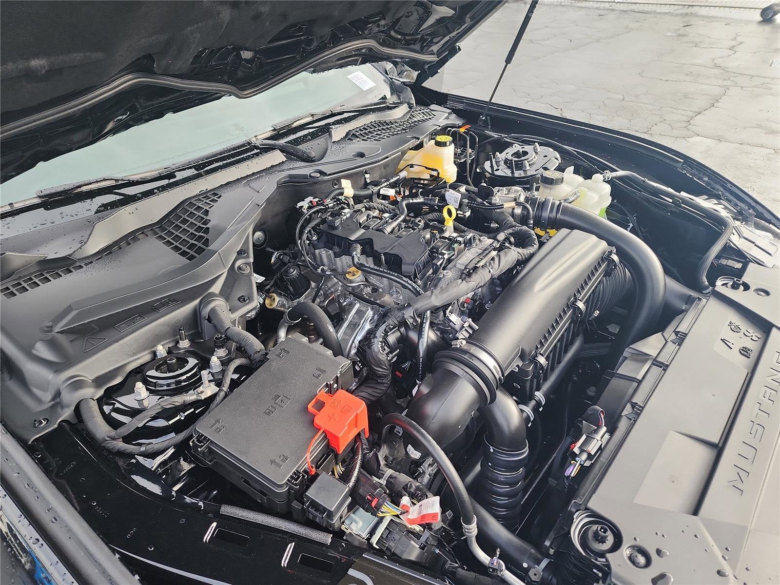 2026 Ford Mustang EcoBoost