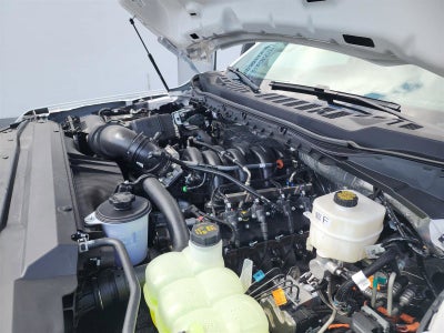 2025 Ford Super Duty F-350 DRW XL