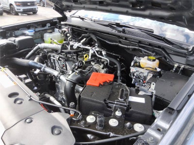 2026 Ford Ranger XL