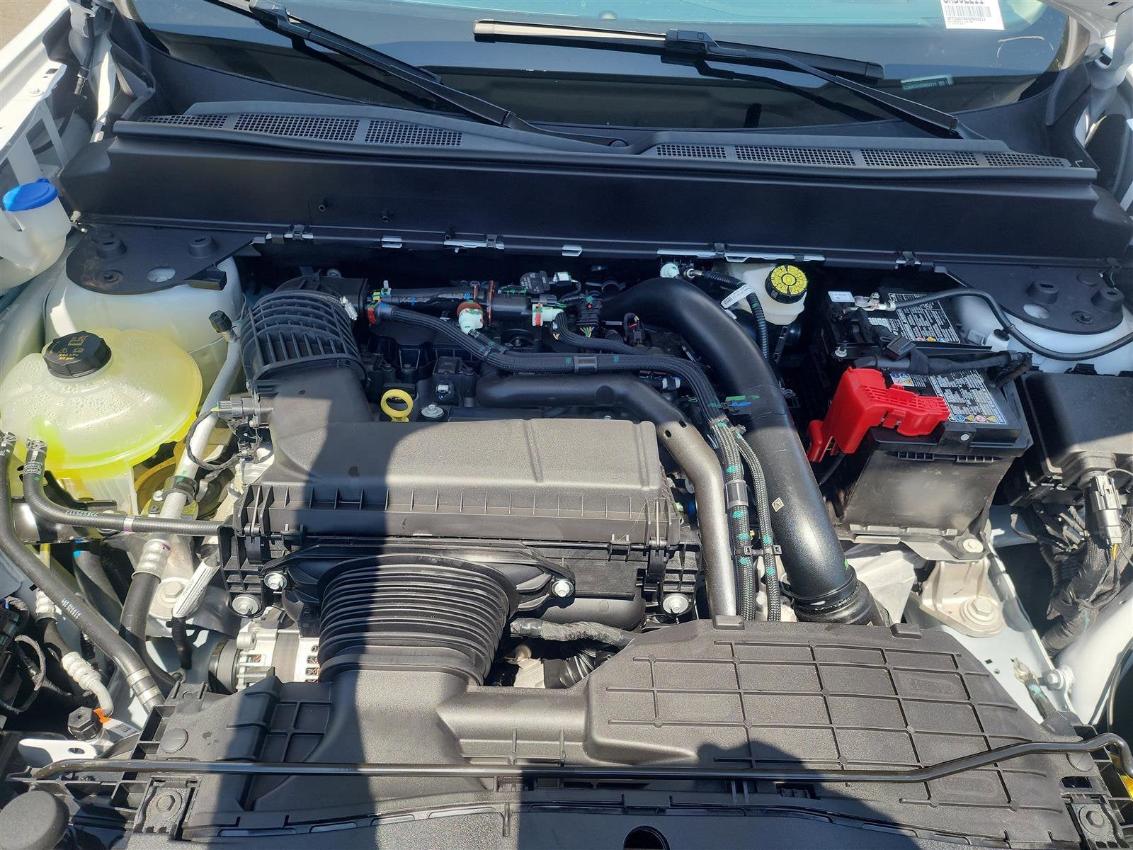 2025 Ford Maverick Lobo Standard