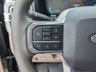 2025 Ford Super Duty F-250 SRW Platinum