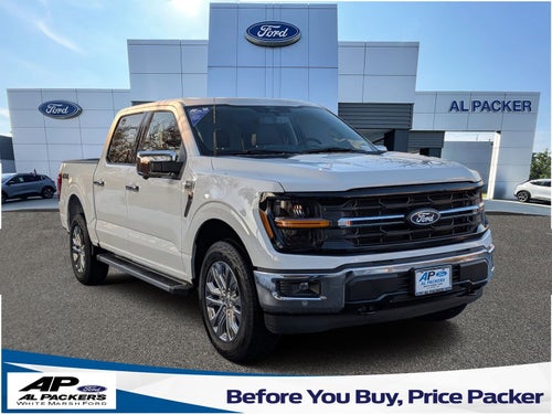 2025 Ford F-150 XLT