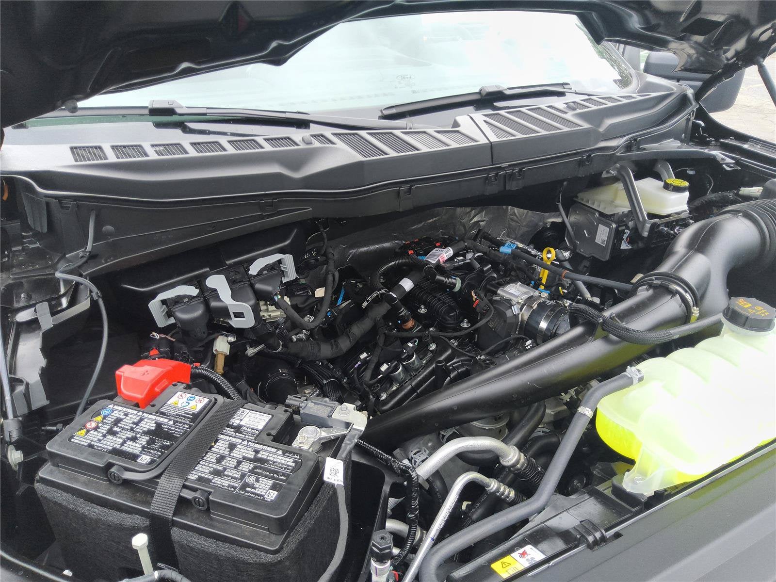 2026 Ford F-150 STX®