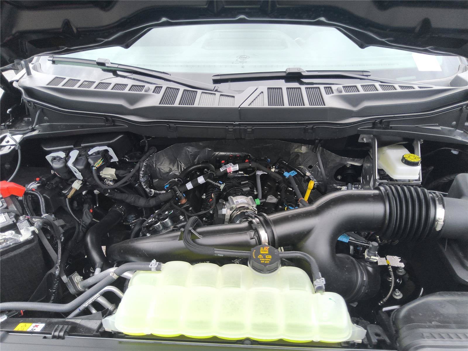 2026 Ford F-150 STX®